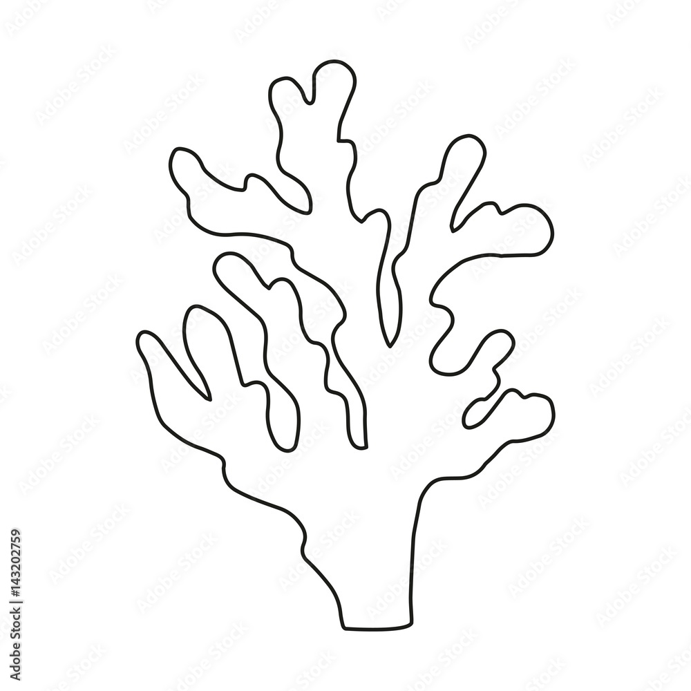 Coral linear sketch vector isolated