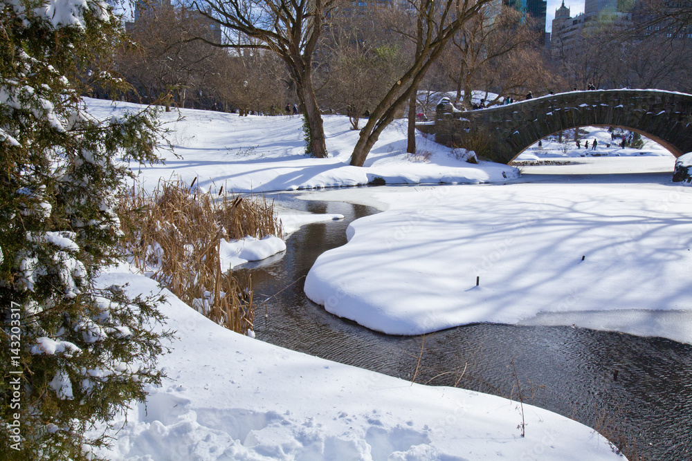 Central Park, New York. Beautiful park in beautiful city.
