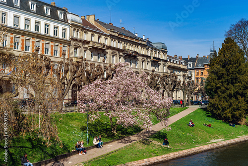 Fototapeta Naklejka Na Ścianę i Meble -  Flowering springtime in Strasbourg, street view
