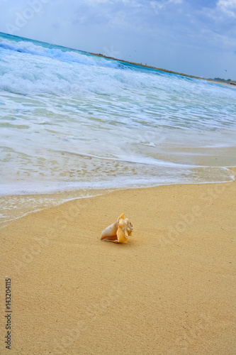 Waves on beautiful golden beach