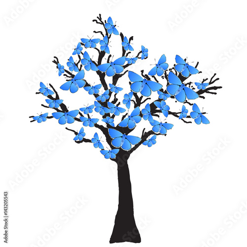 Blue Butterfly Tree