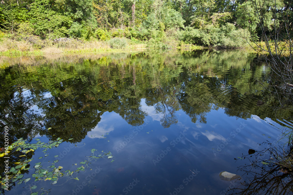 Reflection Reflection