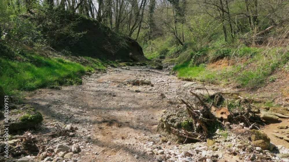 Slider Shot of a Wild Forest and Riverbed in Nature in Slow motion Slider Shot of a Wild Forest and Riverbed in Nature in Slow motion