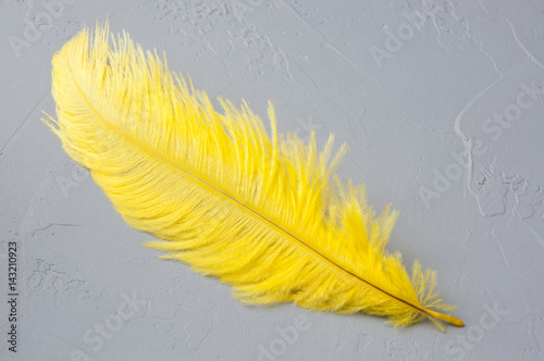 Yellow ostrich feather