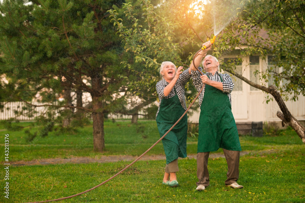 Elderly people having fun. Cheerful couple with garden hose. Stock Photo |  Adobe Stock