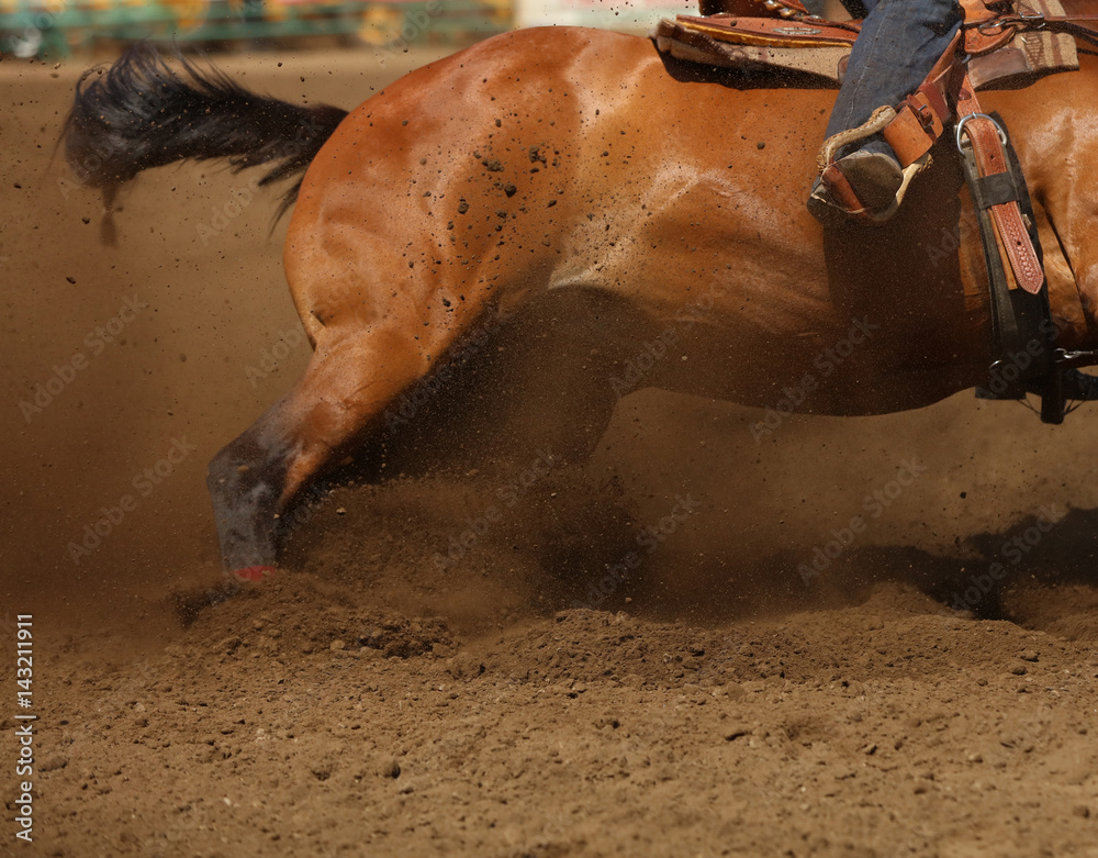 Obraz premium A bay horse sliding in the dirt in an up close horizontal presentation. Barrel racing, rodeo, action equine, competing sports.