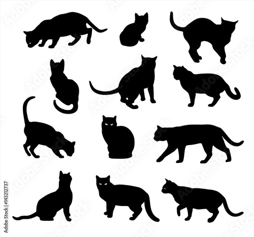 Cat silhouette vector icon set isolated on white