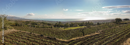 panoramica della campagna photo