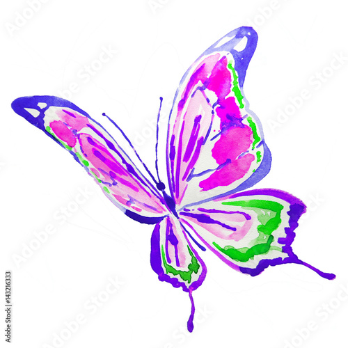 beautiful violet butterfly,watercolor,isolated on a white © aboard