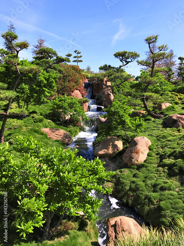 Beautiful flowers and trees in Japanese Garden photo