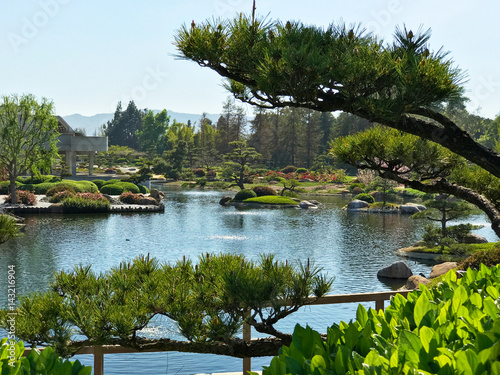 Beautiful flowers and trees in Japanese Garden photo