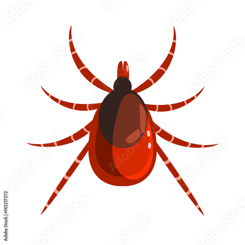Mite or tick dangerous parasite. Colorful cartoon character