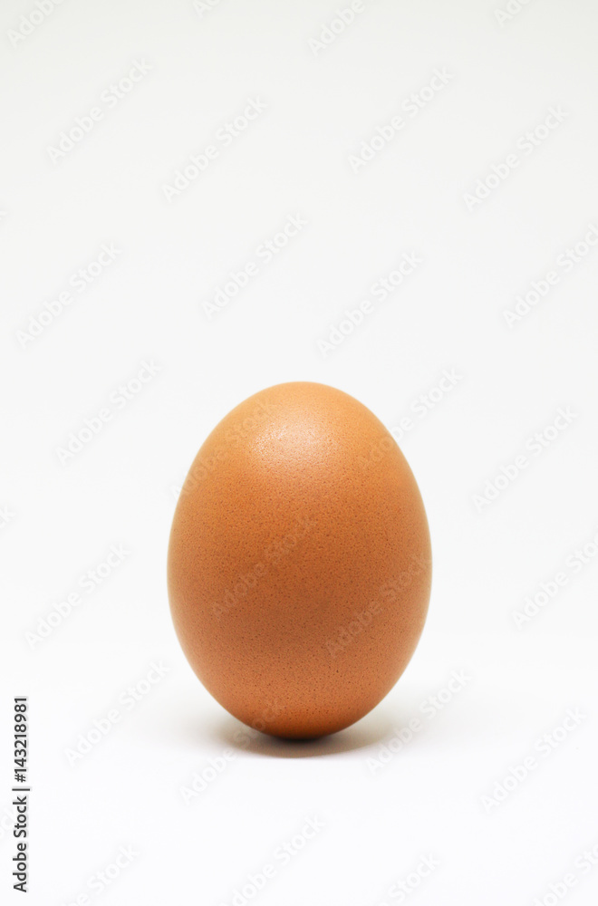 fresh chicken egg on white background. isolated brown egg. fresh chicken egg on white background. isolated brown egg.