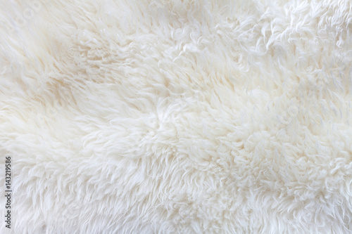 background of white wool.