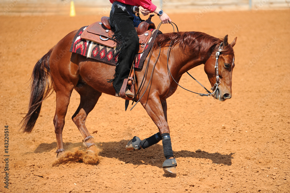 A side view of a rider on horseback A side view of a rider on horseback