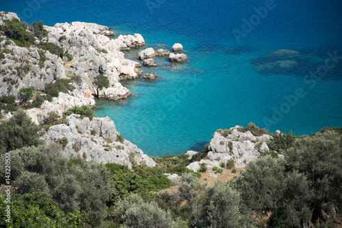 Beautiful bay with rocks olive trees turqouise sea