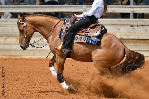 A side view of western rider sliding the horse in the dirt © PROMA