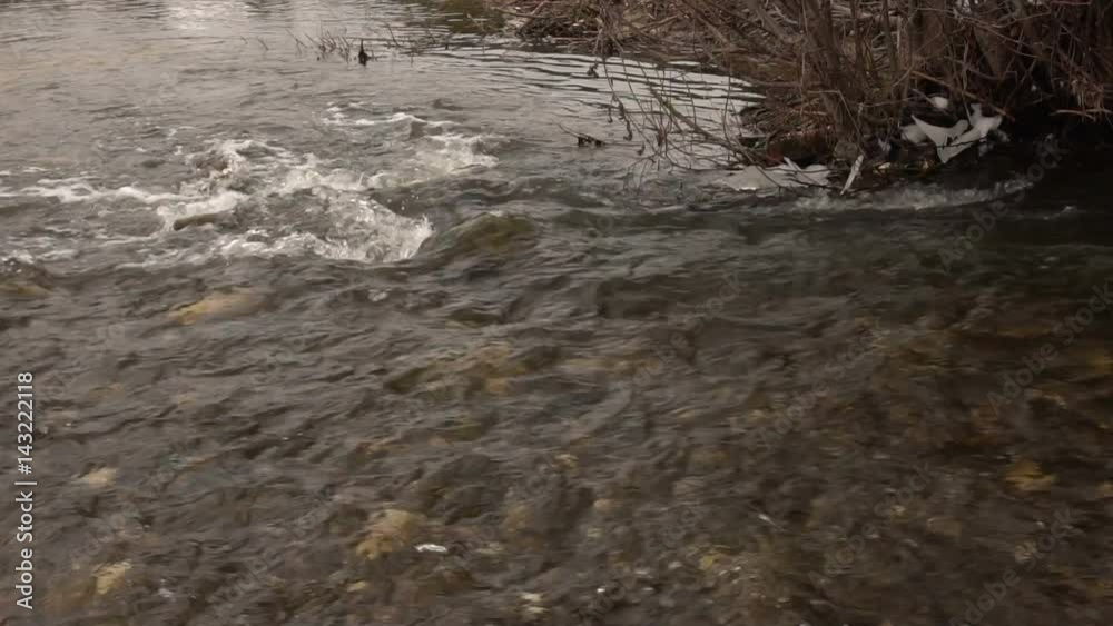 Flow of water. A small stream. Slow motion Flow of water. A small stream. Slow motion