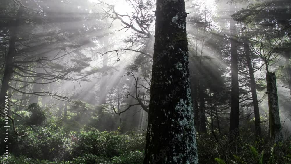 Time lapse of the light rays through the fog.