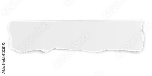 Vector oblong torn paper tear isolated on white background