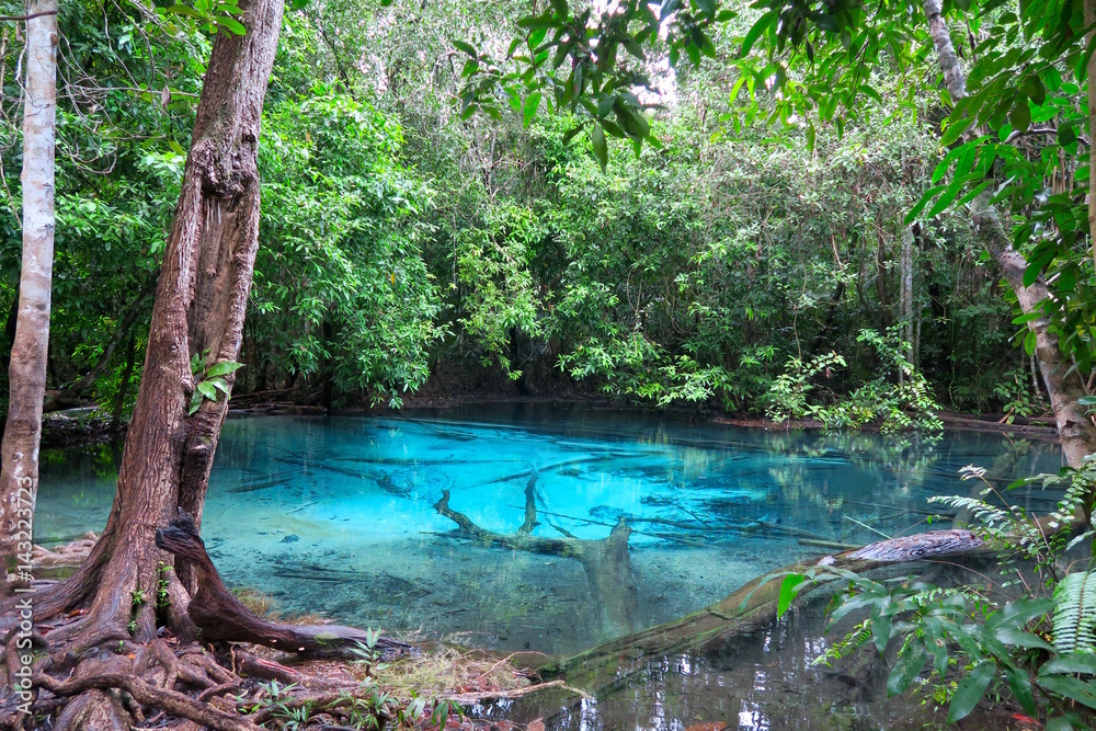 Fototapeta premium beautiful and clear very blue water pool