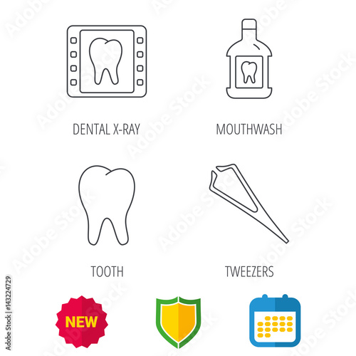 Mouthwash, tooth and dental x-ray icons. Tweezers linear sign. Shield protection, calendar and new tag web icons. Vector