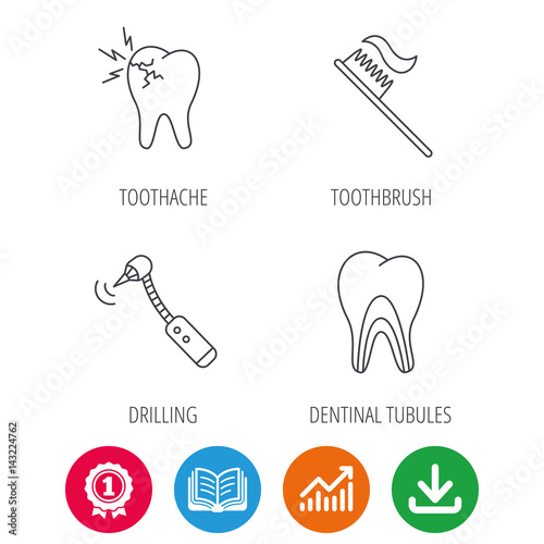 Toothache, drilling tool and toothbrush icons. Dentinal tubules linear sign. Award medal, growth chart and opened book web icons. Download arrow. Vector