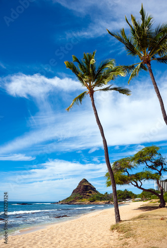 Sandy Mahaka beach  Oahu  Hawaii