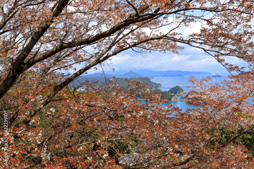 Obraz na płótnie 葉桜 道の駅南郷 宮崎県日南市 w salonie