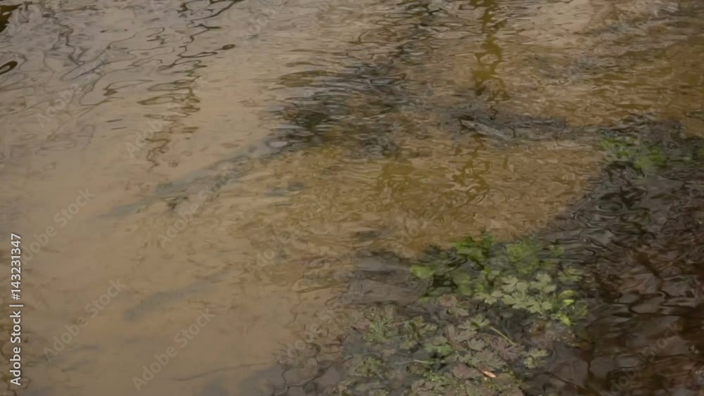 Water surface of the river. Slow motion Water surface of the river. Slow motion