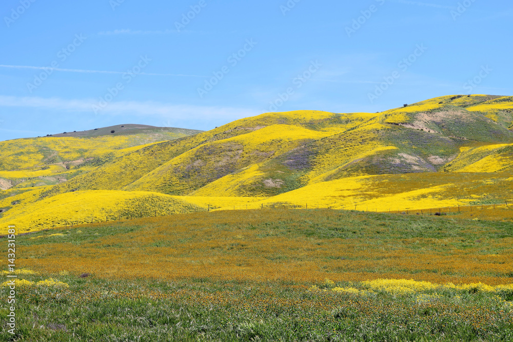 Yellow Hills