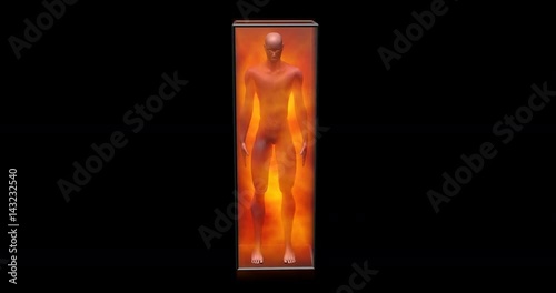 Genetically engineered human, humanoid clone in floating viscous gaseous energy field, life support chamber. 3d animation. View shows simple rotation of man photo