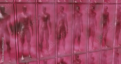 Human Clones suspended in boxes and pink fluid life support chambers. 3d animation. Camera pans top to bottom view photo