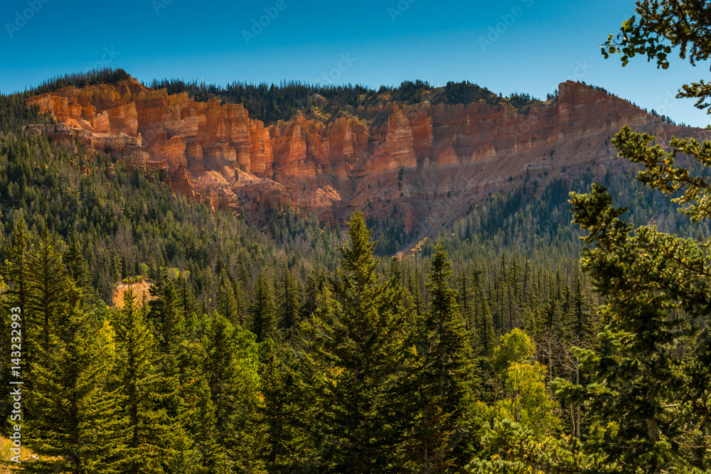 Red Cliffs Above the Pines