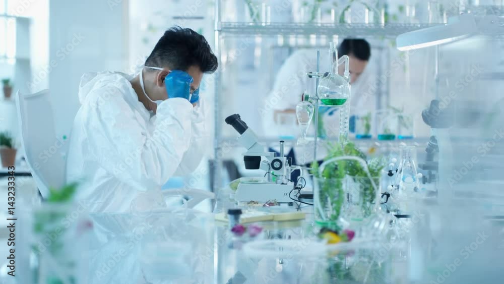 Research scientists studying plant life in laboratory Research scientists studying plant life in laboratory