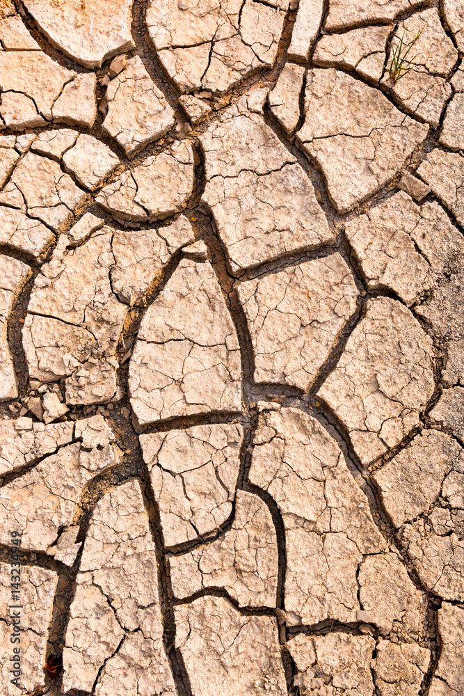 Cracked ground caused by drought. Impact of global warming concept. Cracked ground caused by drought. Impact of global warming concept.