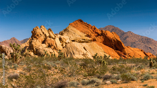 Desert White & Red Rock