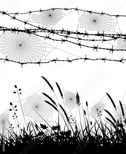 Orb spider webs