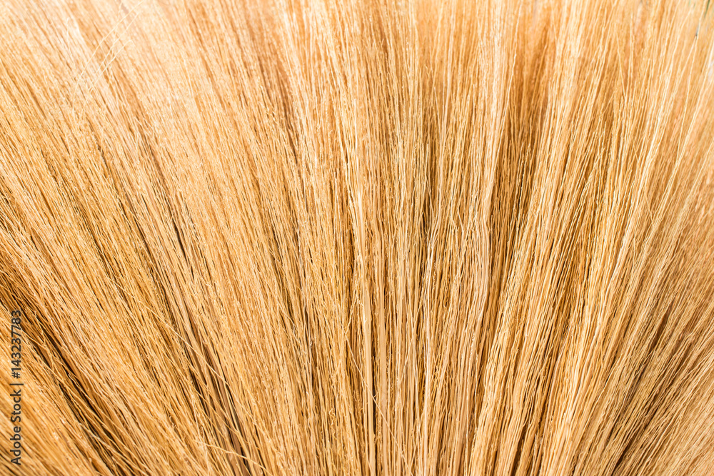 Broom grass texture Broom grass texture