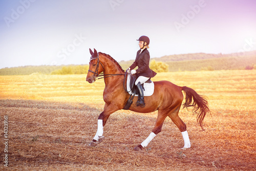 woman riding a horse. Equestrian sportswoman jockey