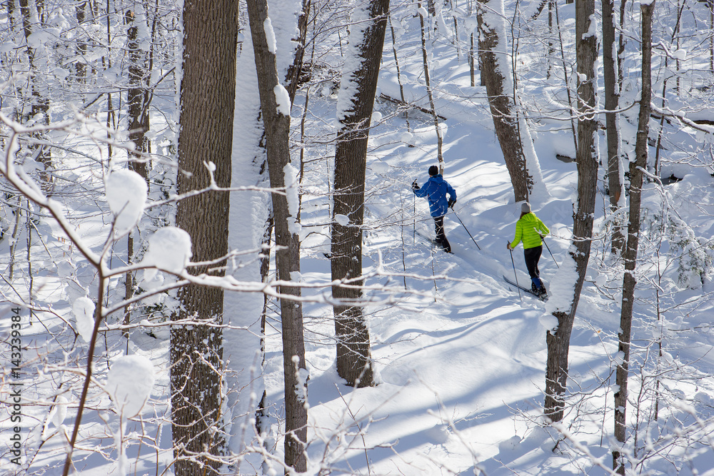 Couple cross country skiing in winter
