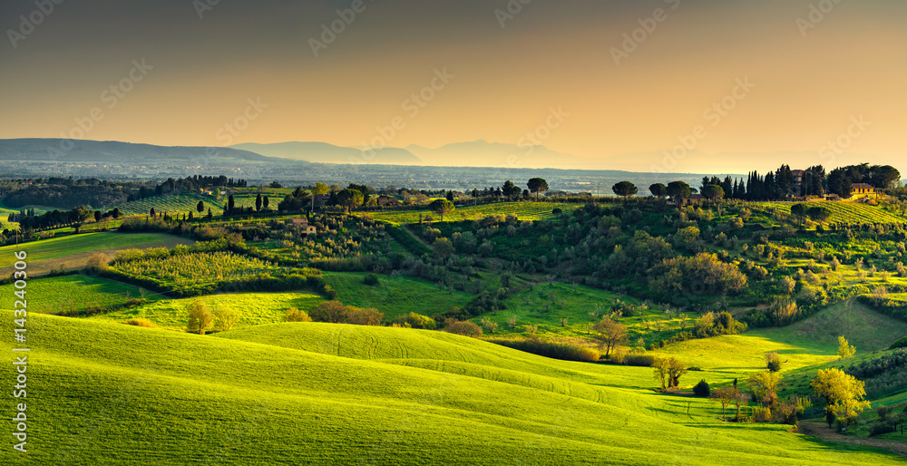 Fototapeta premium Wieś Maremma, krajobraz zachód słońca. Wyspa Elba na horyzoncie. Toskania, Włochy.