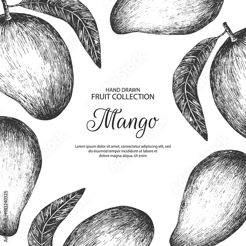 Decorative background with mango.  Can be label and banner for natural or organic fruit product and health care goods. 