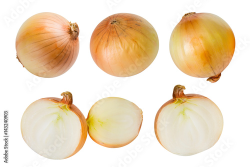 Set of fresh onion isolated on white background.