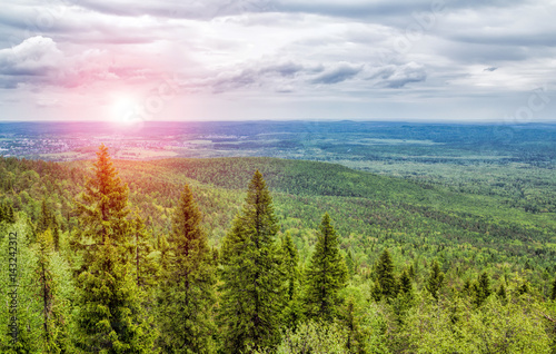Top view of an endless green forest