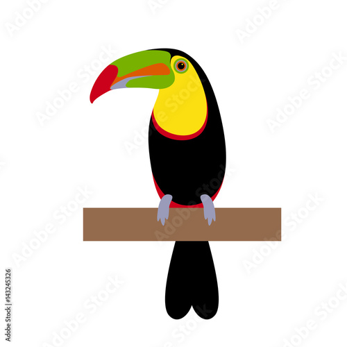 toucan bird vector illustration style Flat