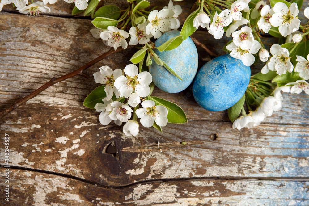 Obraz premium Easter background with blue painted easter eggs, white flowers on wood background with copy space