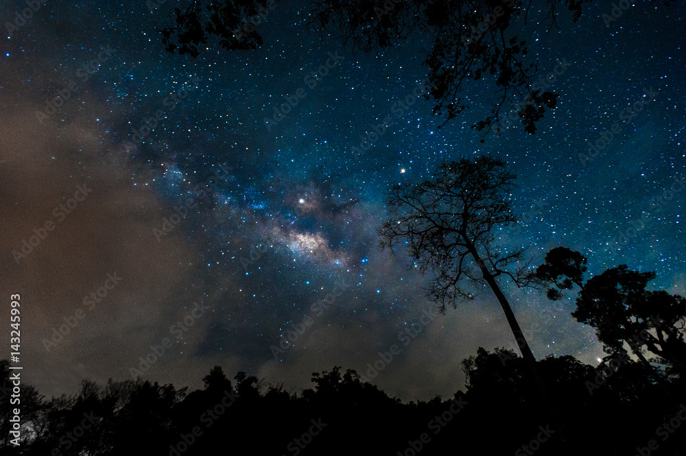 beautiful milky way galaxy on night sky in the forest park