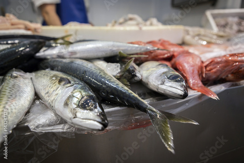 Freshly caught fish at the fish market in Cadiz, Andalucia, Spain
