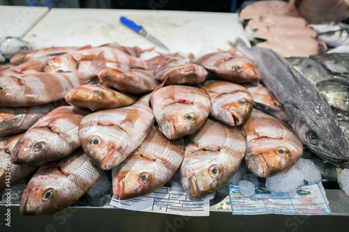 Freshly caught fish at the fish market in Cadiz, Andalucia, Spain
